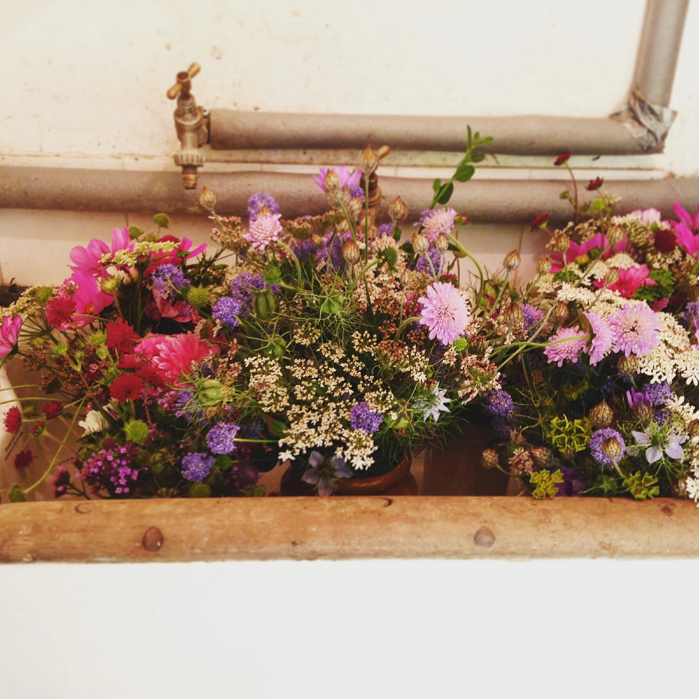 Storing fresh flowers ready for their party!