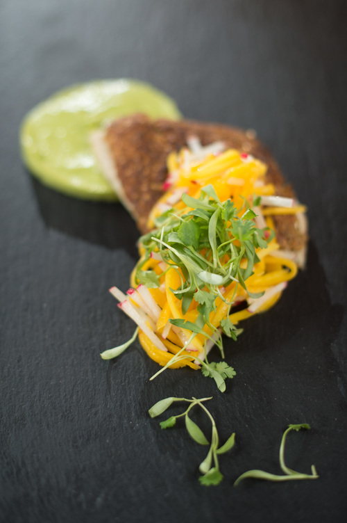 catering-dish