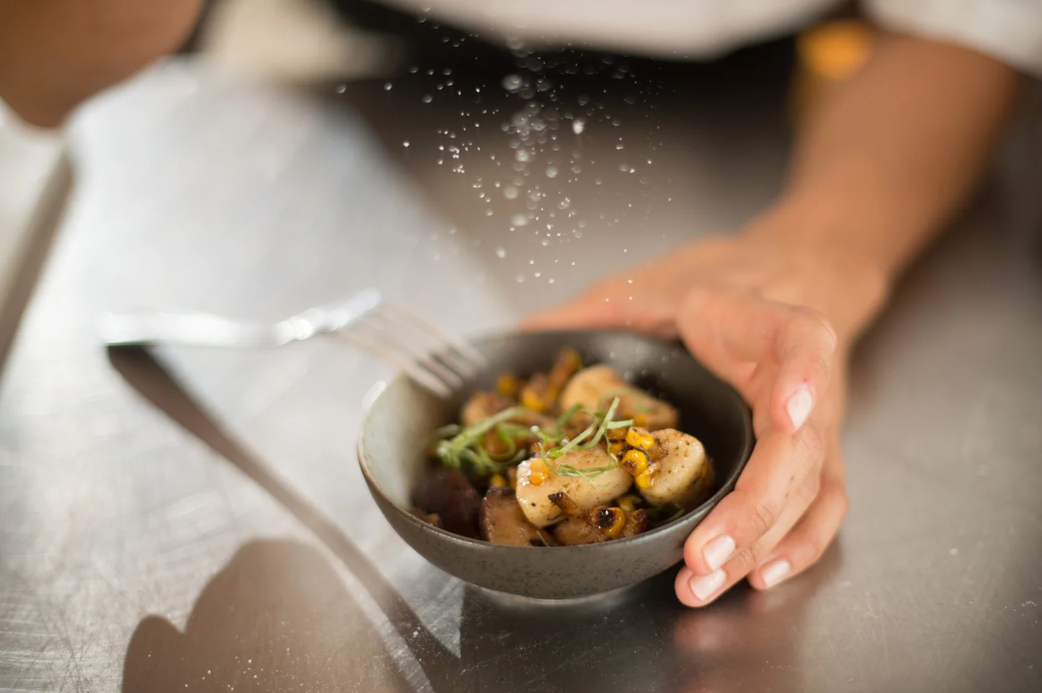 catering-dish