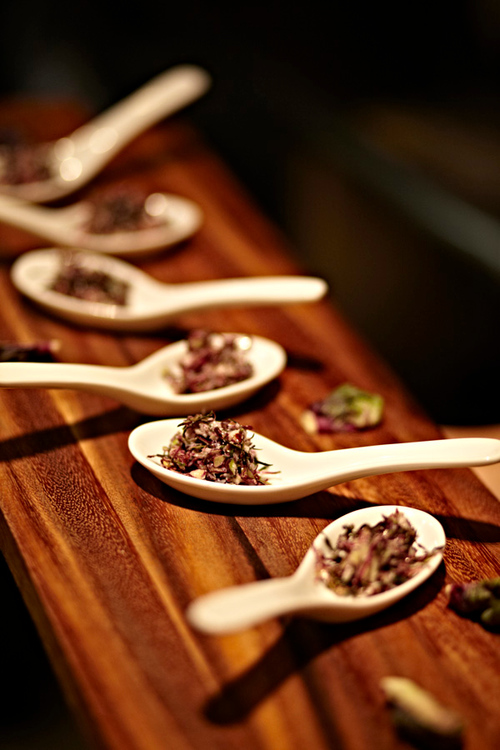 catering-dish