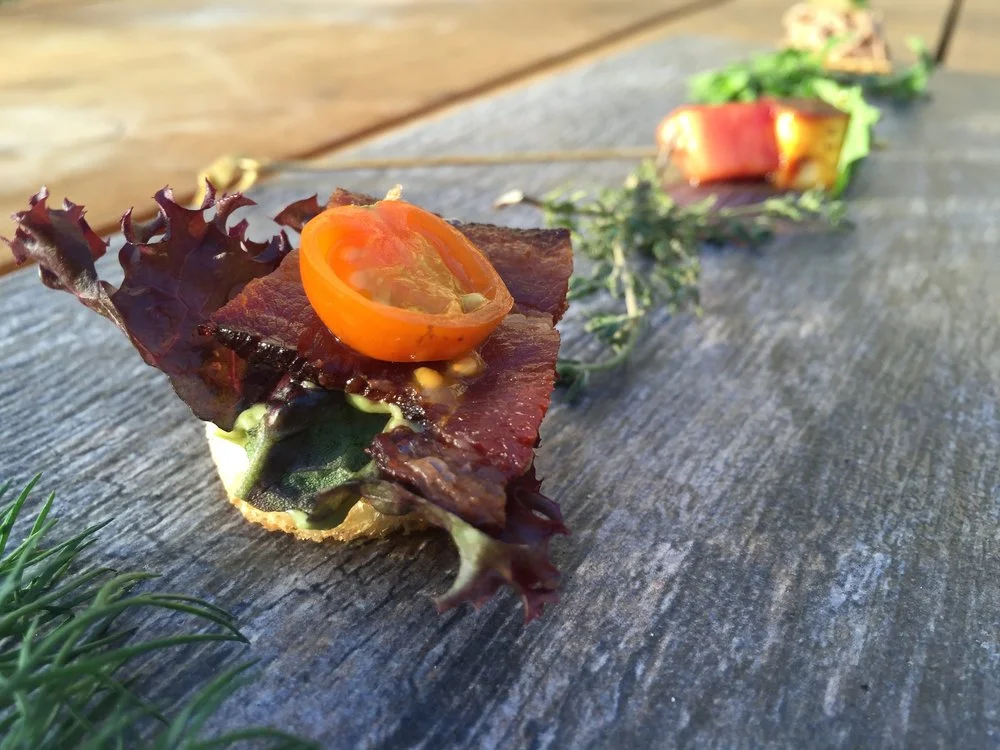 catering-appetizers