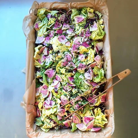 drop off catering.jpg