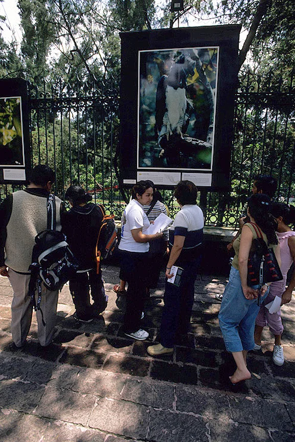 MexicoExpo04.jpg