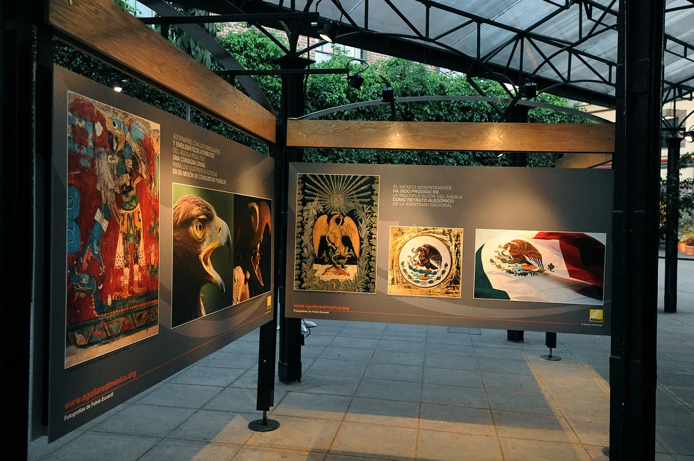 ©FulvioEccardi0509.jpg