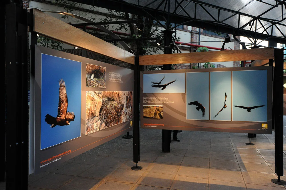 ©FulvioEccardi0511.jpg