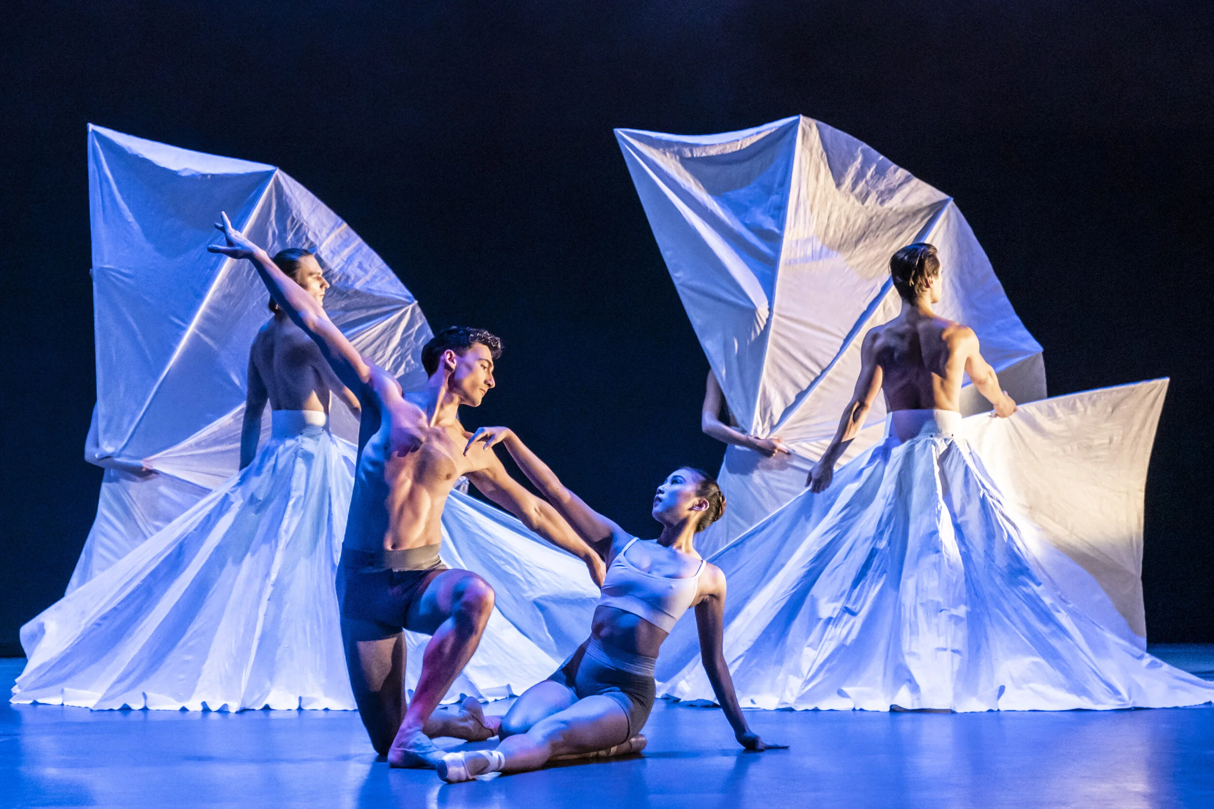 Lazuli Sky -Birmingham Royal Ballet