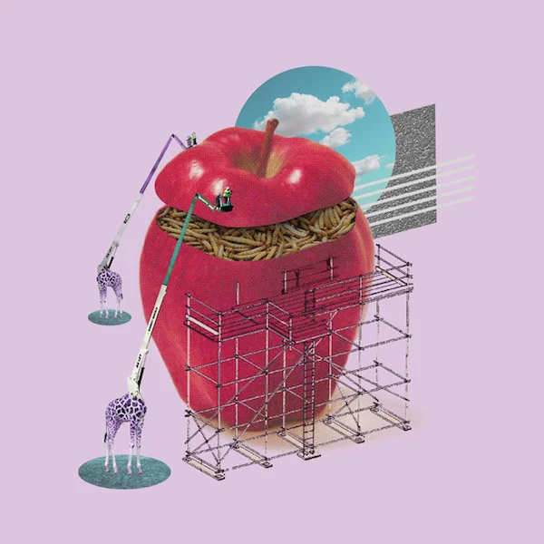 Human Resources Release Second Single "Amigos"