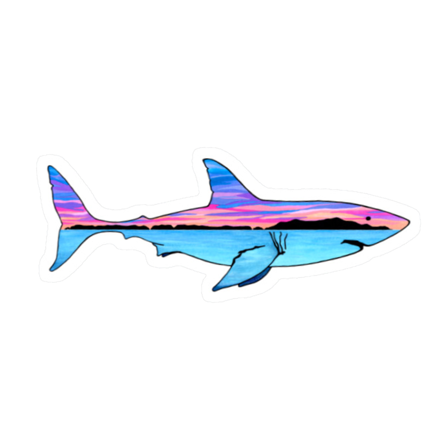 cishark.png