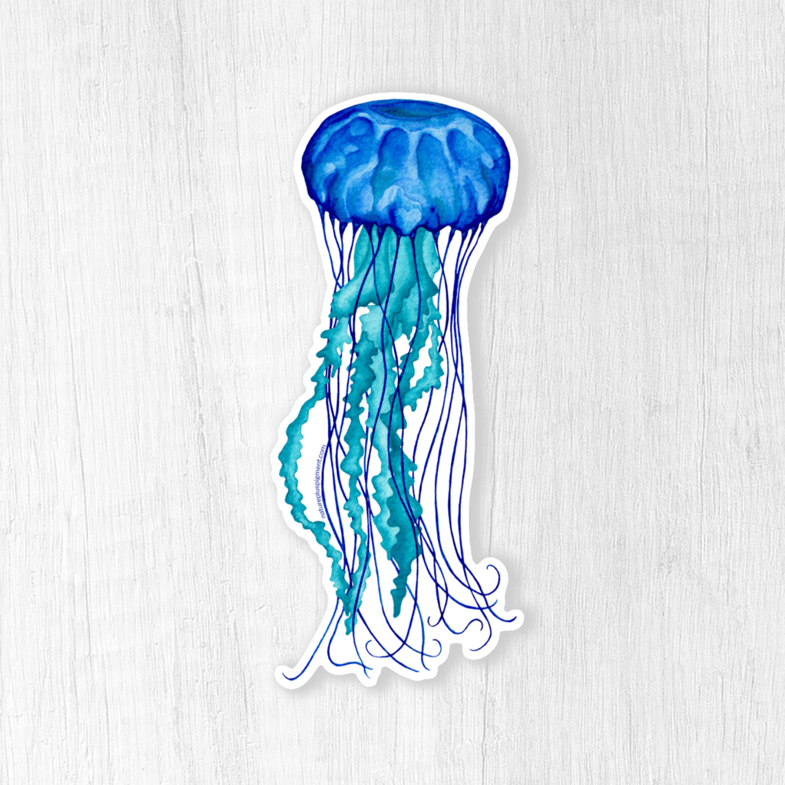 Jellyfish_CMB.jpg