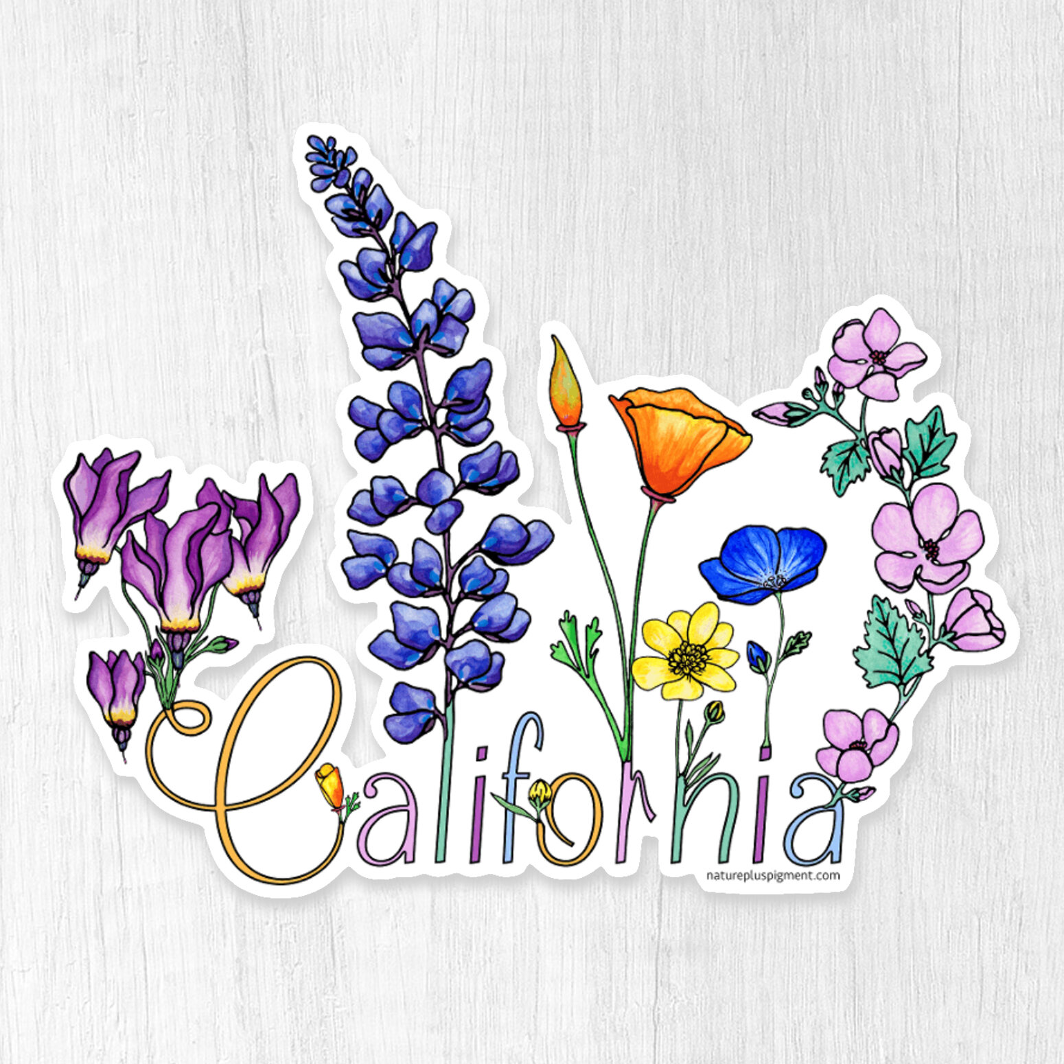 CaliforniaWild_CMB.jpg