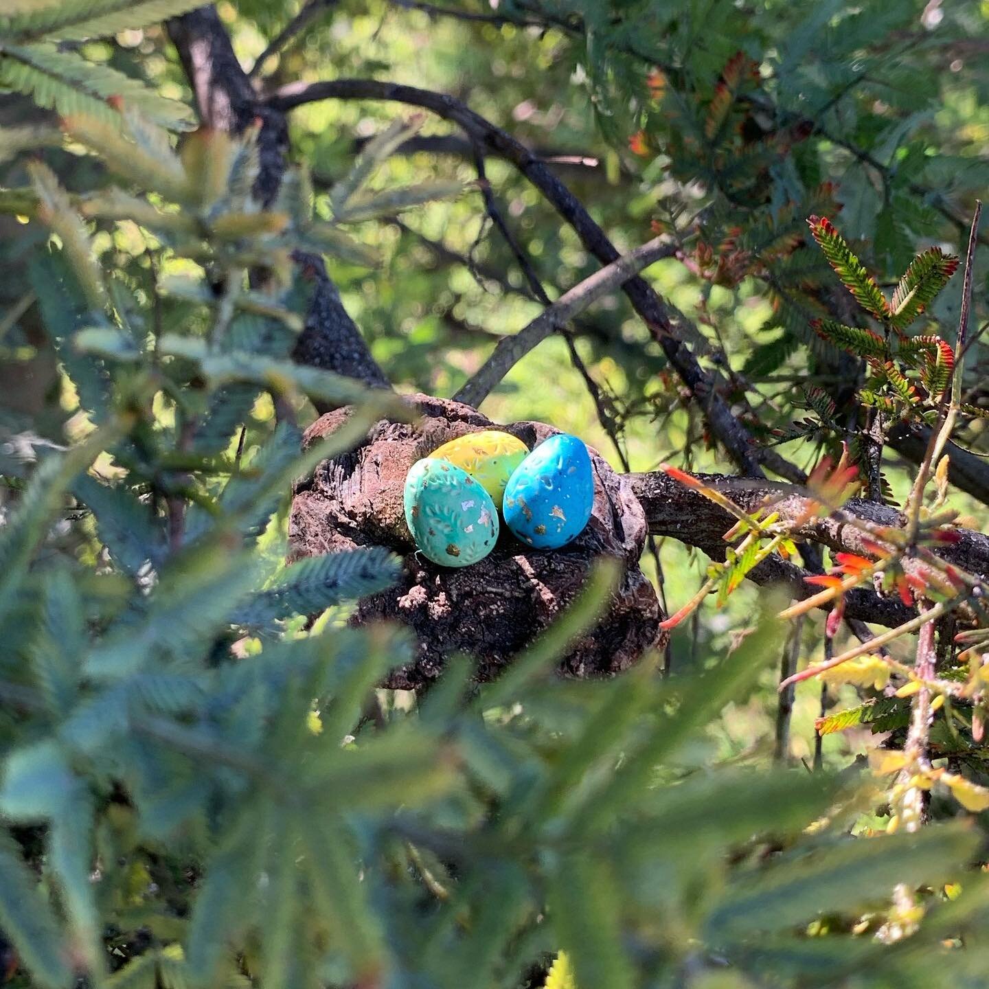 Sneak peek! Do you see what I see? 🙊🪺
.
.
.
#naturepluspigment #littleeggs #springeggs #handmadewithlove #tinycreations #polymerclay #handmade #springdecor #inspiredbynature