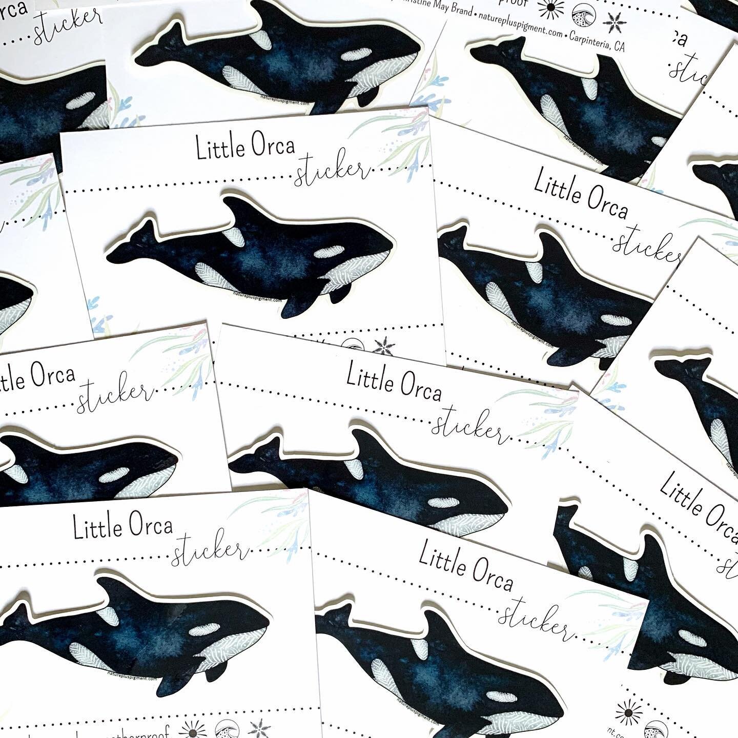 Lots of little orcas on the packing table today! 🖤🤍
.
.
.
#naturepluspigment #orcawhale #orcas #killerwhale #stickerlove #fairewholesale @faire_wholesale #artistmade #illustration #artistsoninstagram #oceanstickers #seacreatures #whalewatching #pac