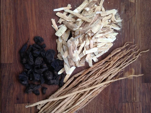 Astragalus: immunité et stress