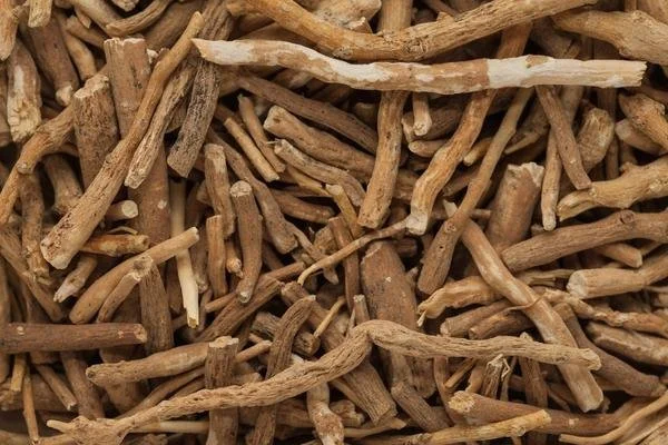 Ashwagandha: longévité, libido, énergie