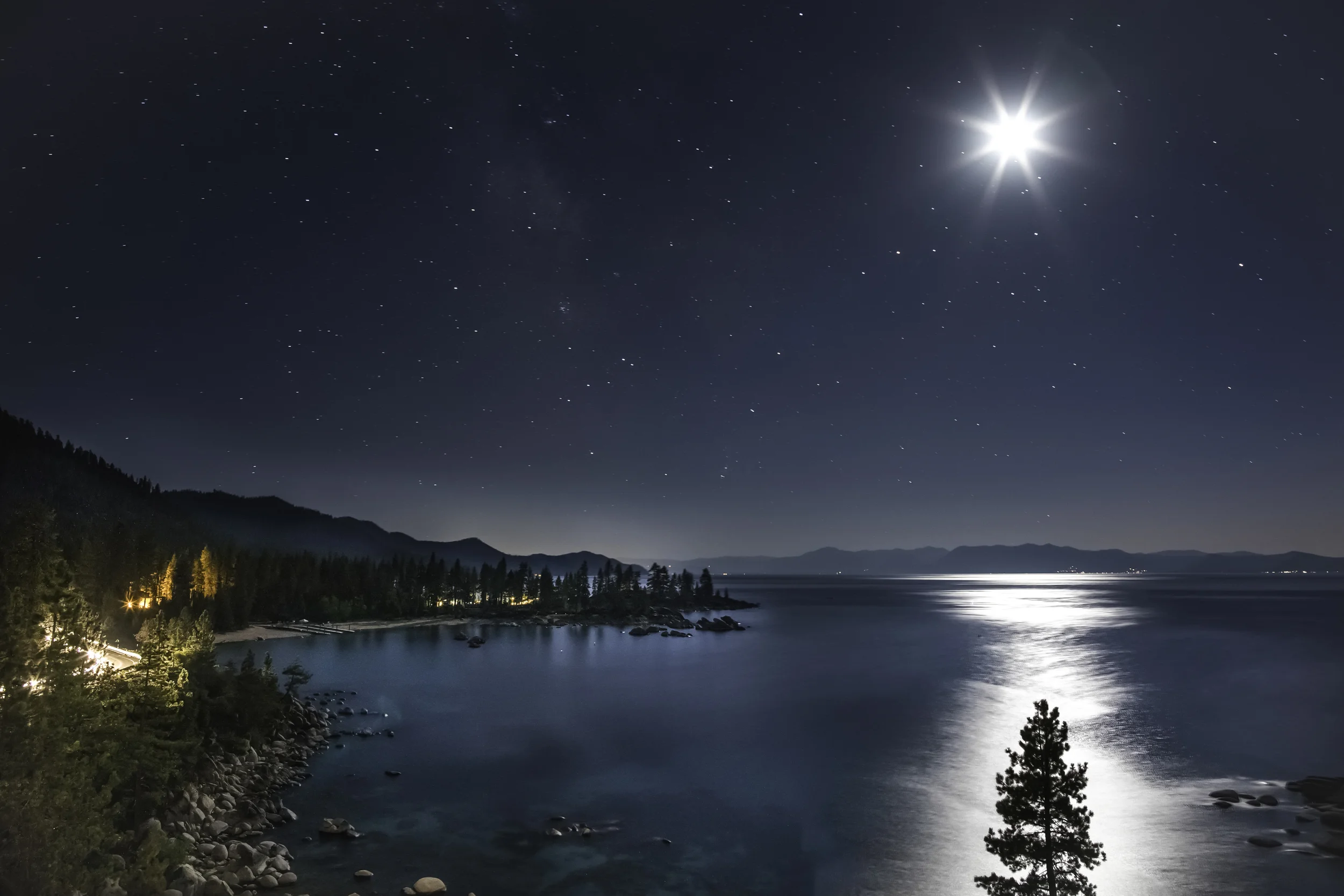 Moontlit Tree on Lake Tahoe