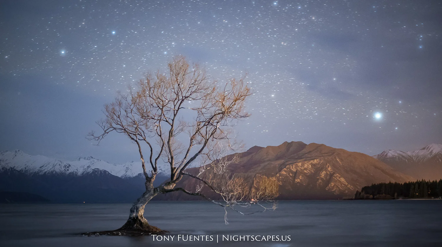 Wanaka Dreamscape