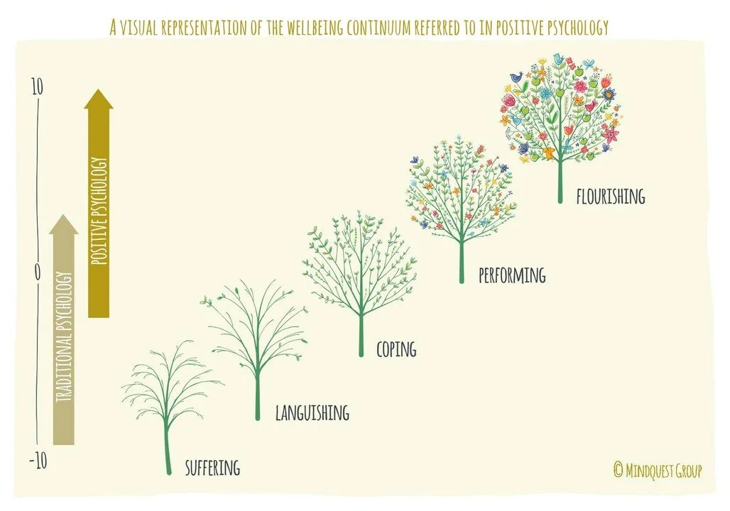 What is Positive Psychology? — Positive Psychology Coach