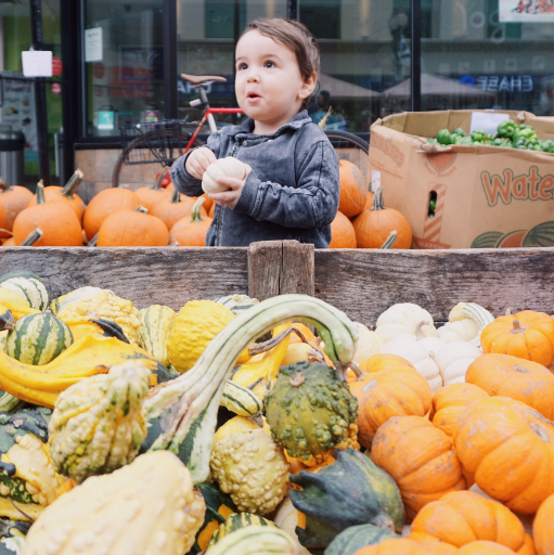 At the Lincoln Park Farmer's Market en route to the zoo