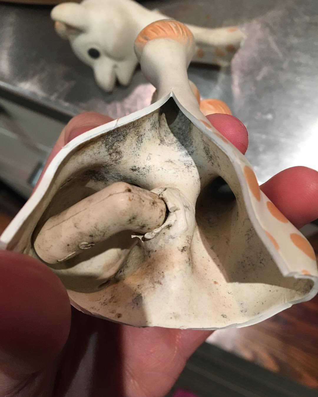 Dishwasher Safe Bath, Teething and Other Toys that Won't Grow Mold