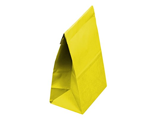 yellow bag.jpg