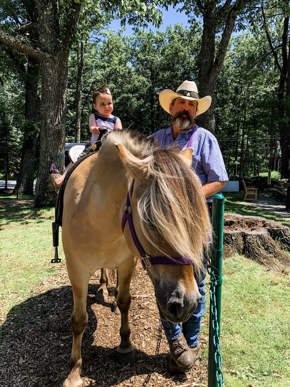 Miriam Cohen Woodloch family  travel  (pony petting zoo 2).jpg