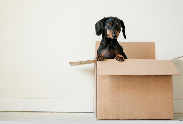 10+ Tips and Hacks for a Low Stress Moving Day (By a NYC Mom)