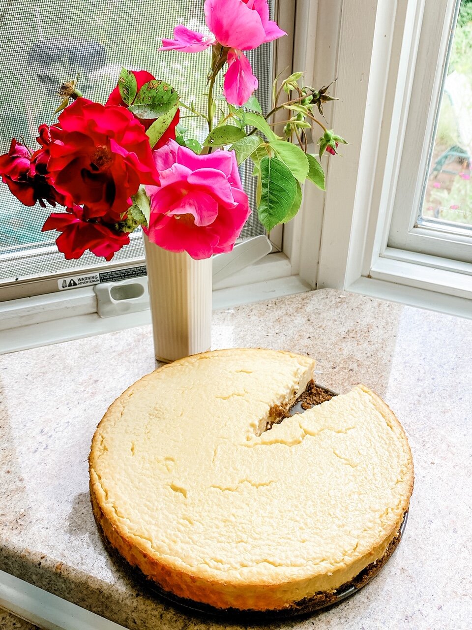 Classic Farmer Cheese Cake by Miriam Y. Cohen 2.JPG