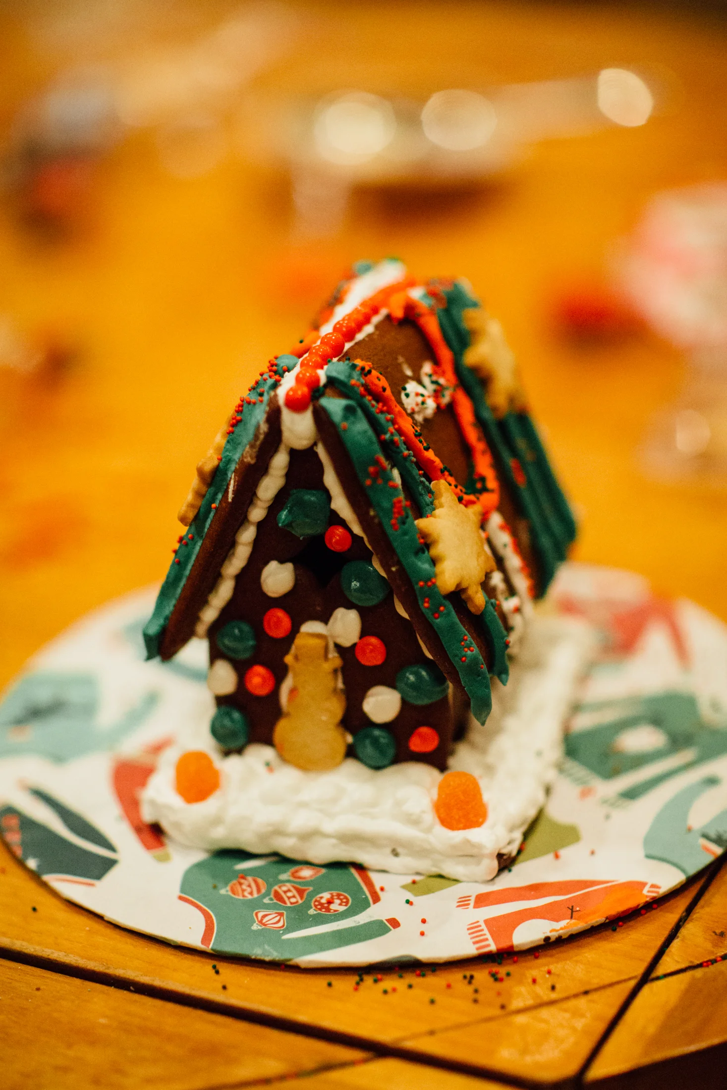 43 finished house.jpg