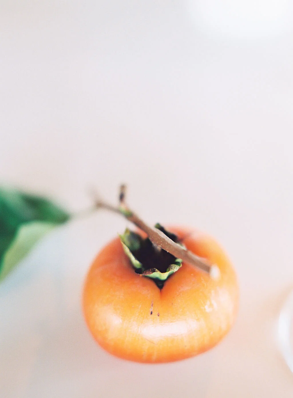 FallFeast-Dmitri&SandraPhotography0007.jpg