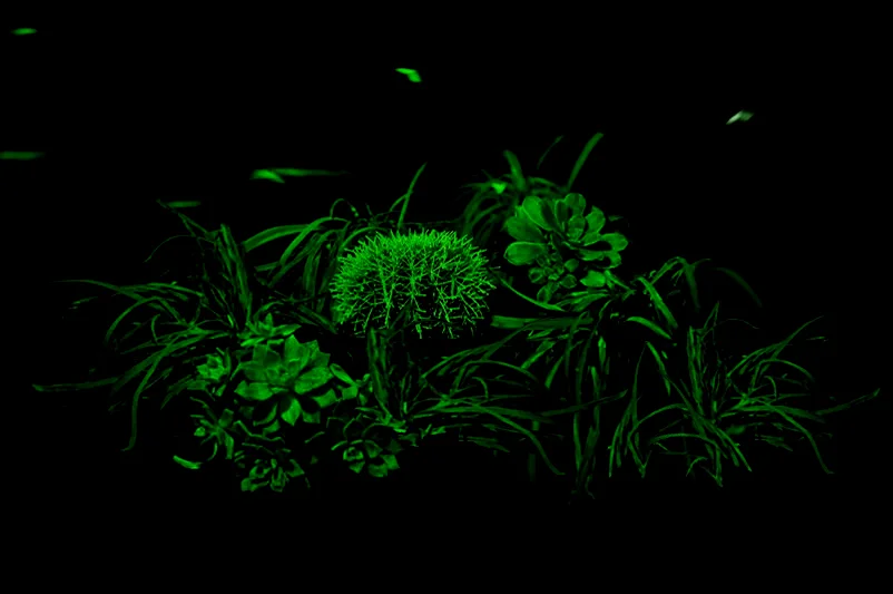 There, in the darkness