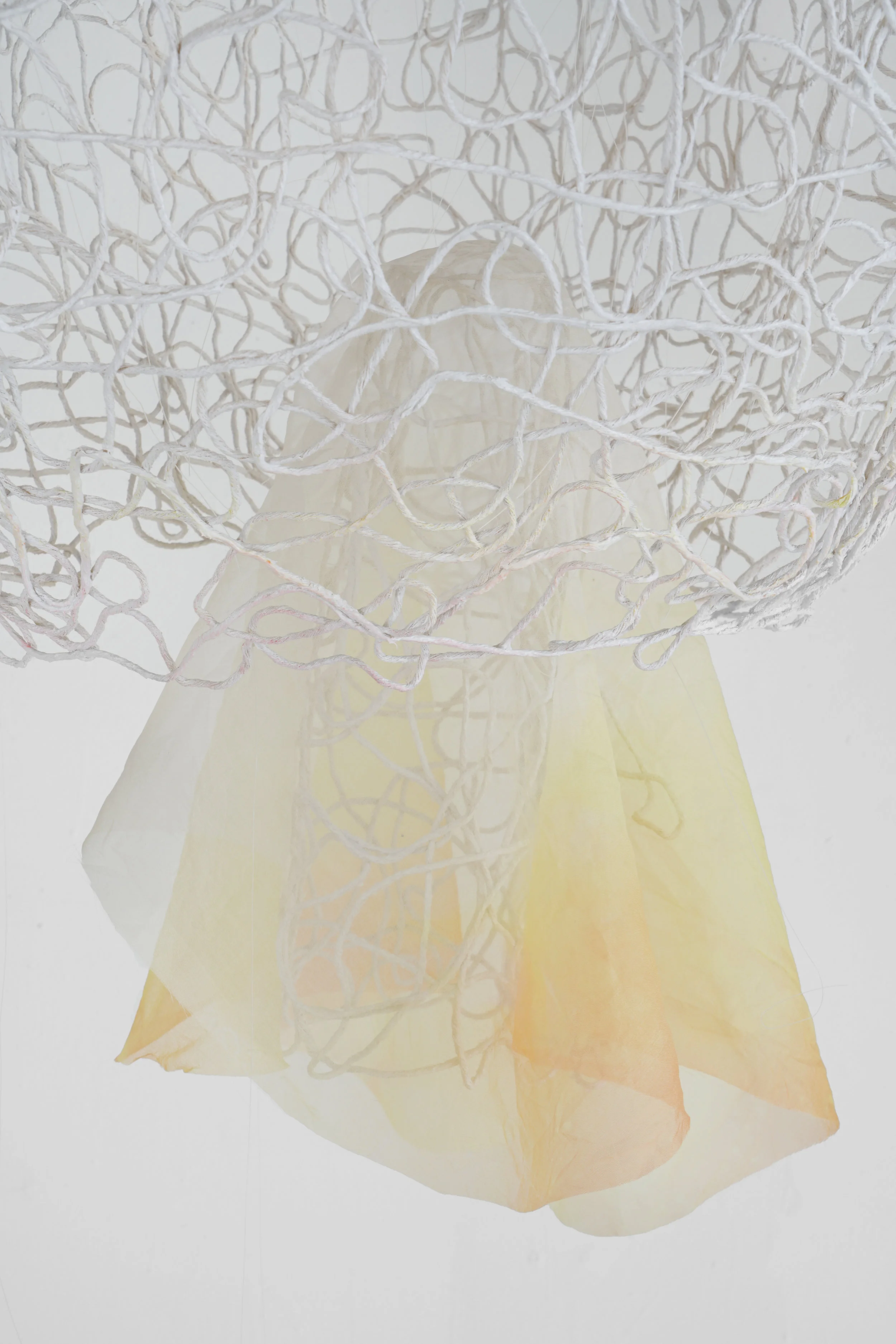 Detail: Sun Interpretation (Hayil Dome) II
