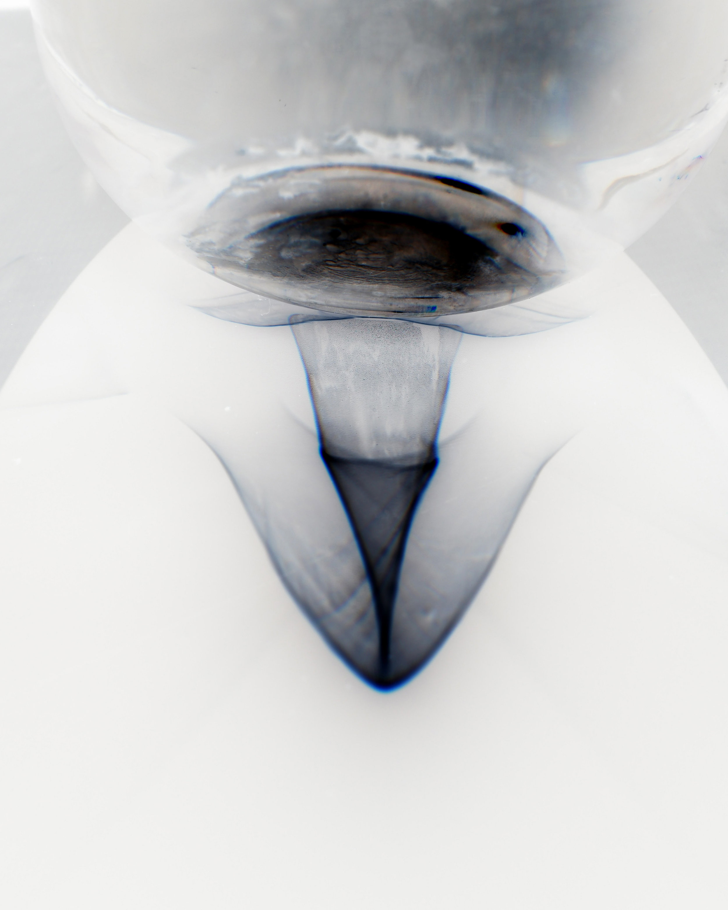 Solar Anatomy IV