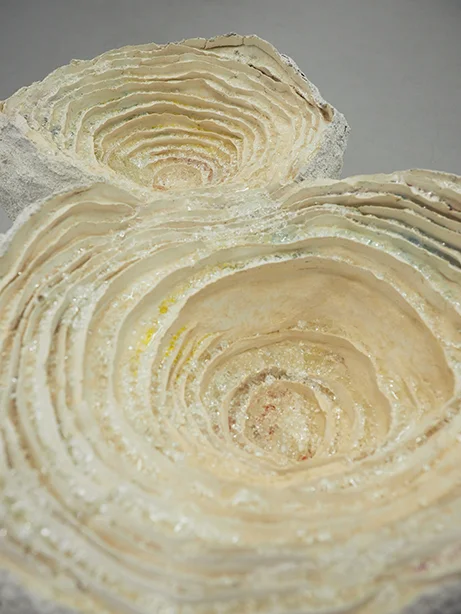 The sun, the circle, the beginning and the end (detail)