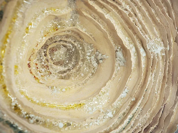 The sun, the circle, the beginning and the end (detail)