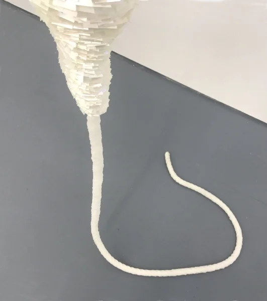 Becoming Body (Detail)