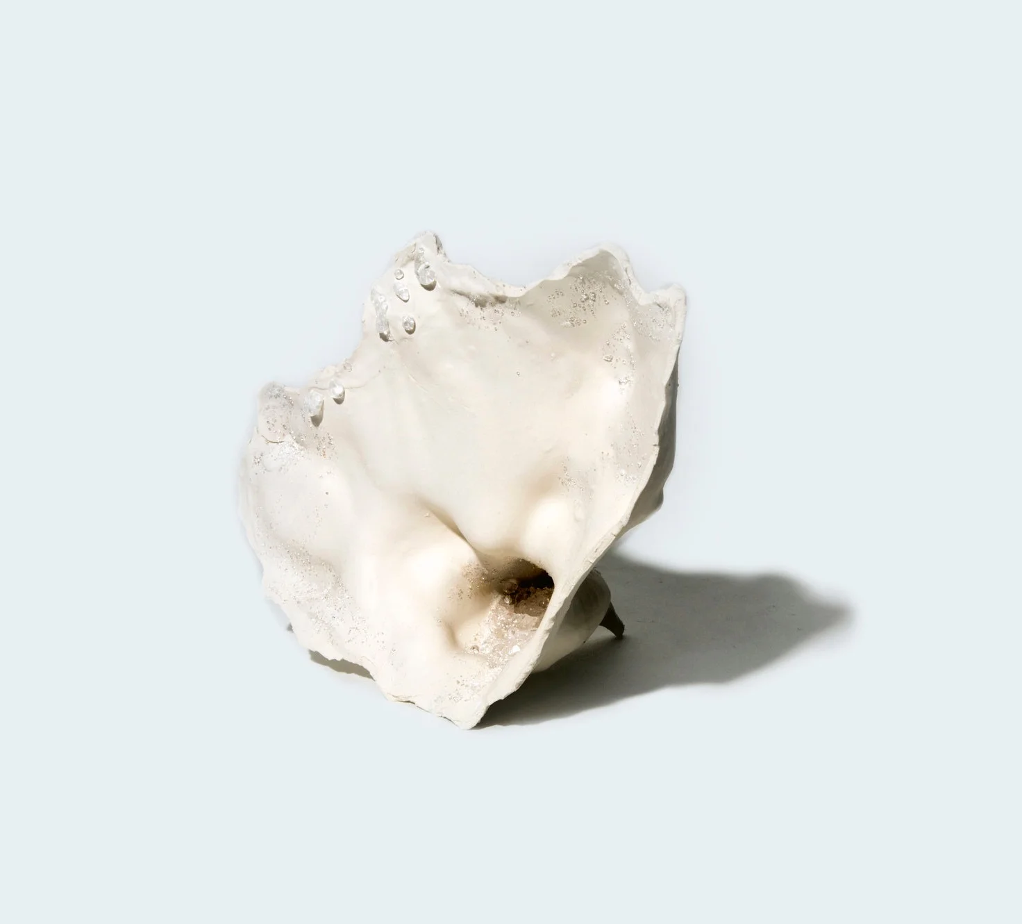 143B0272.jpg