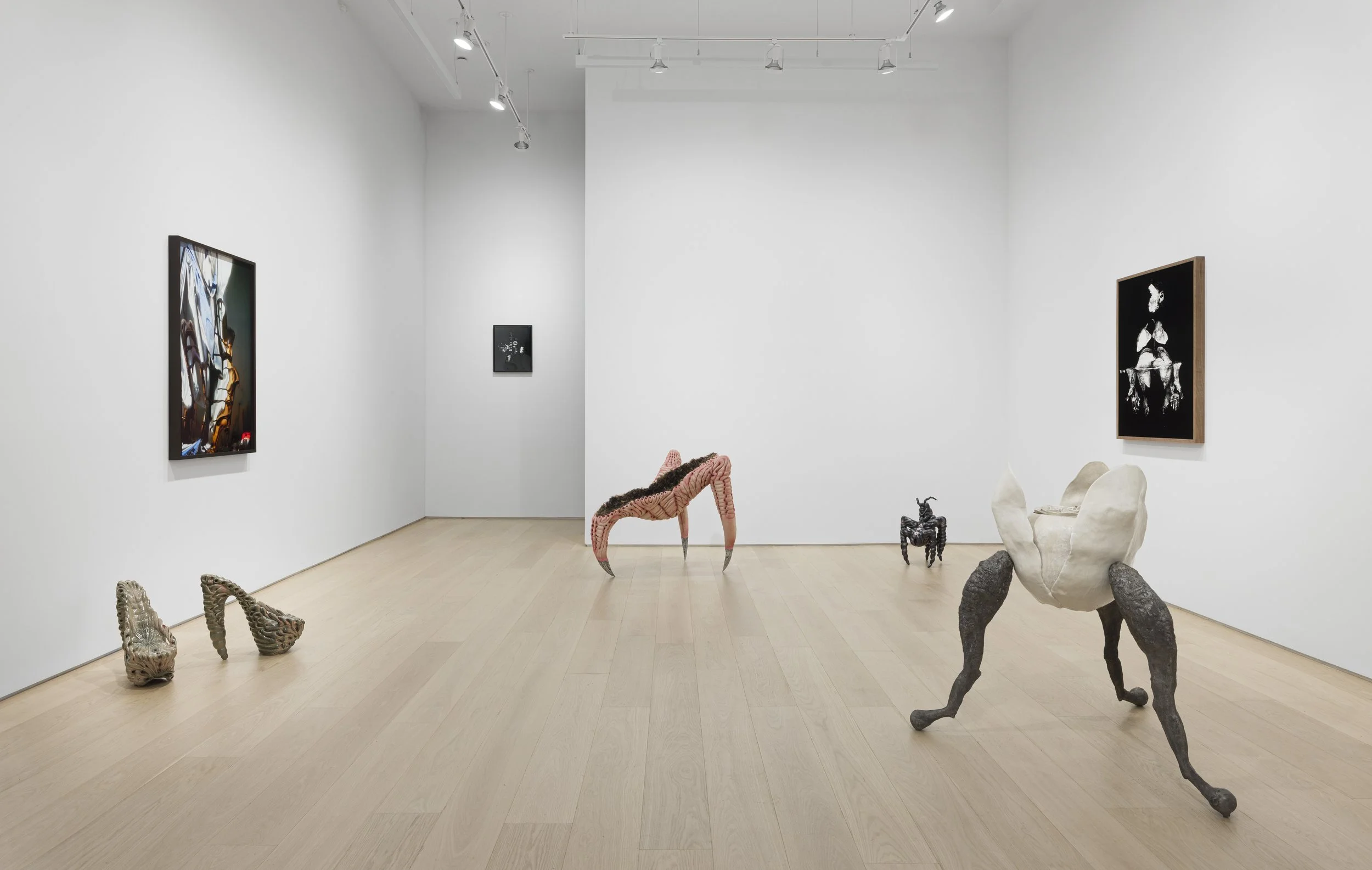 Under the Skin Installation view 3.jpg