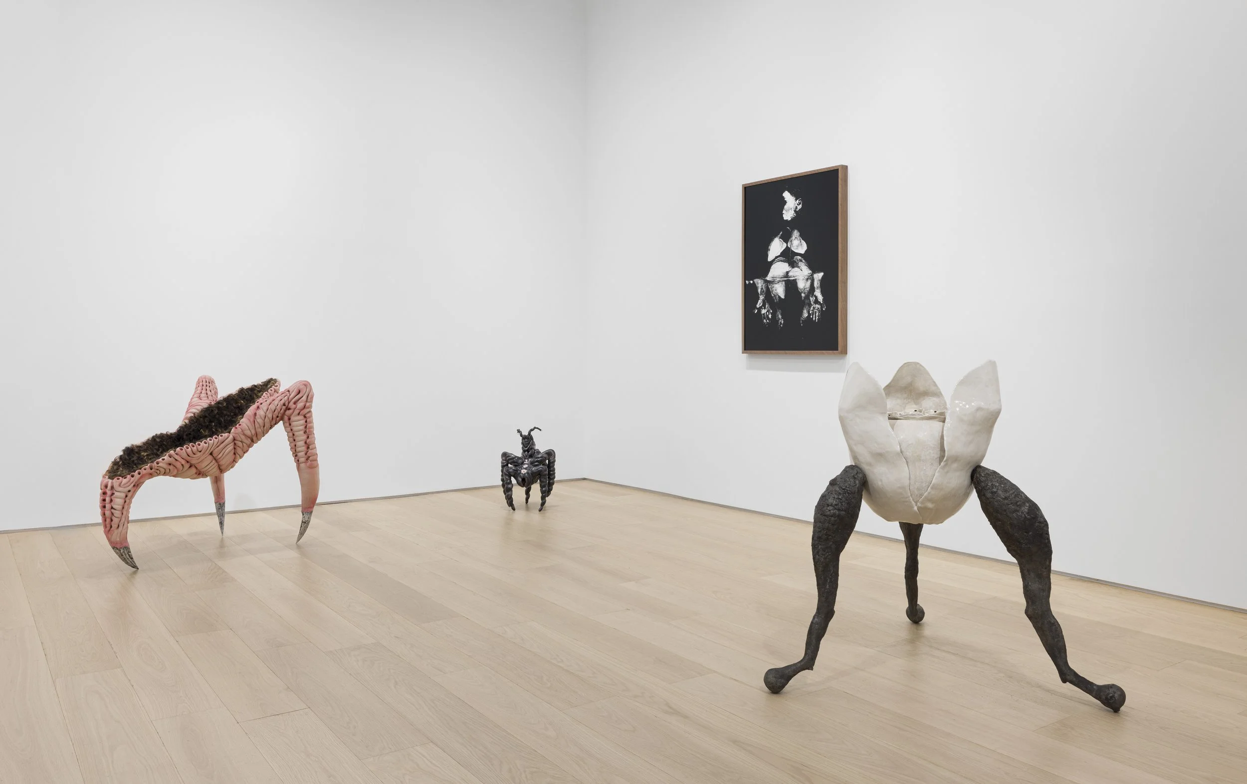 Under the Skin Installation view 4.jpg
