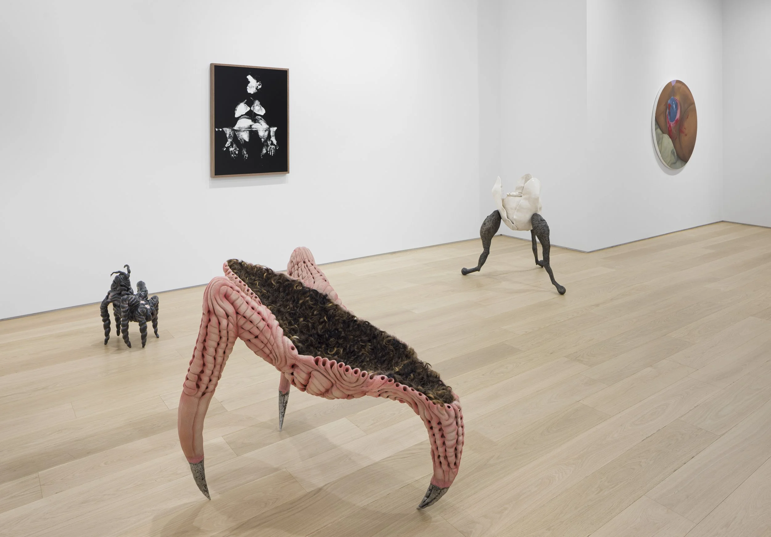 Under the Skin Installation view 9.jpg