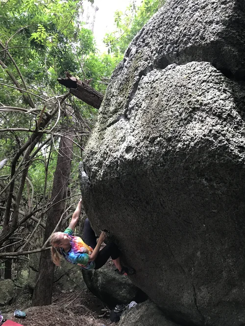 oahu — Hawaii Bouldering