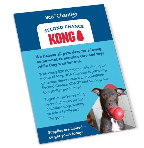 VCA_Kong.jpg