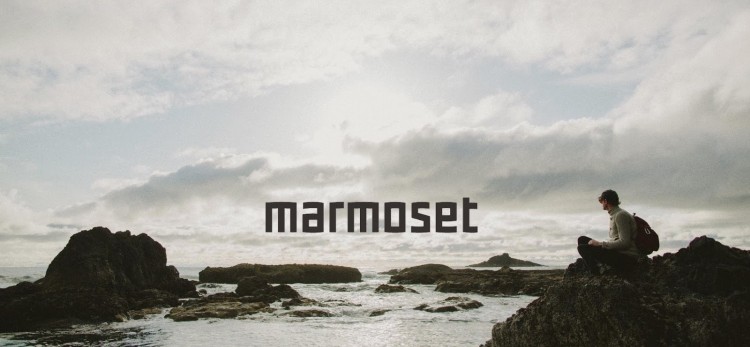 Marmoset Music Licensing Company