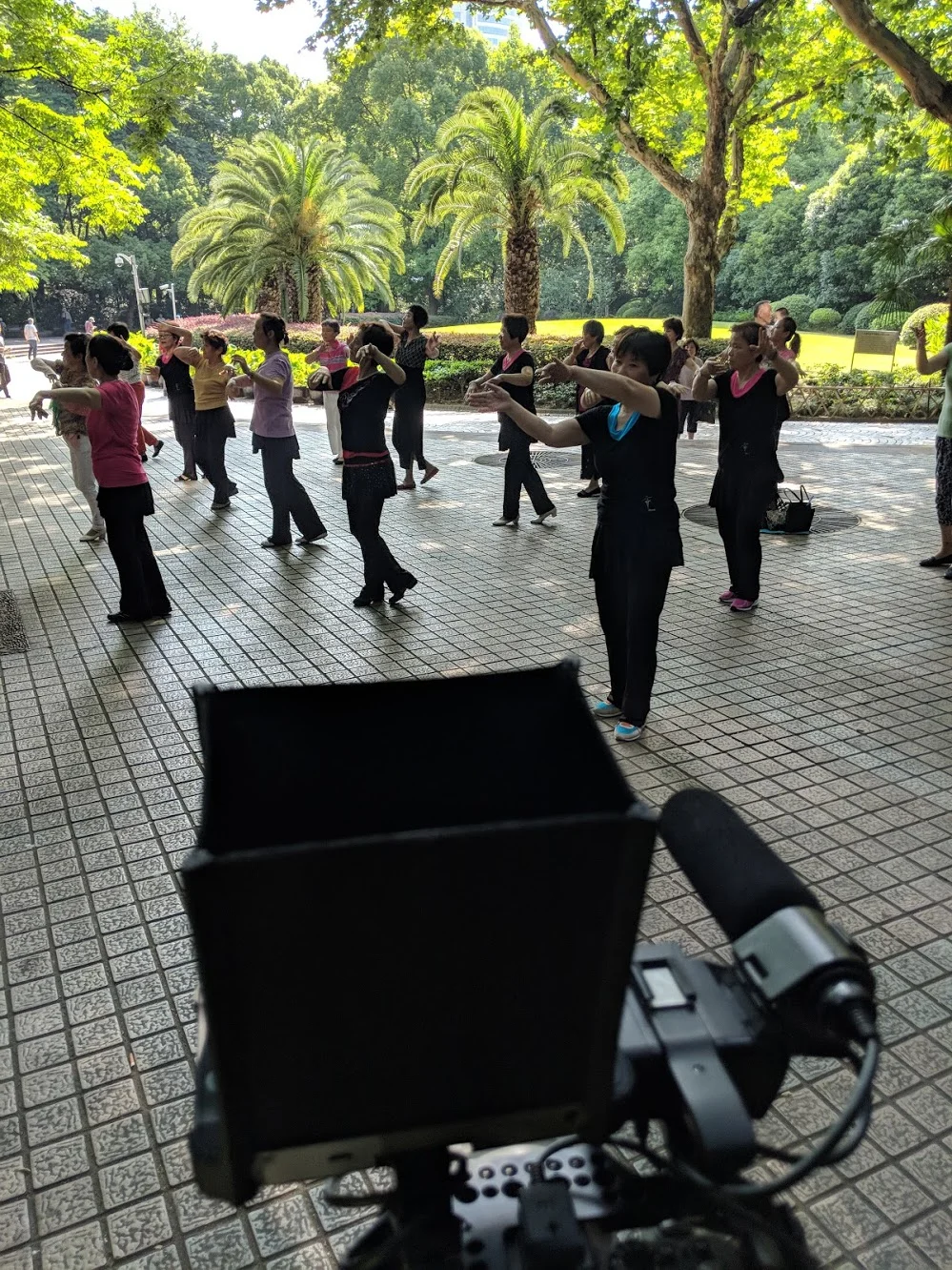 IMG_20180615_081842.jpg