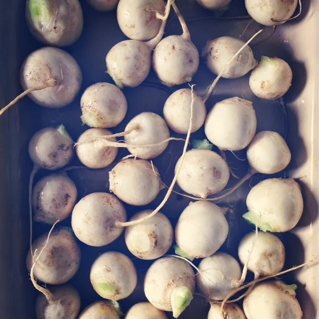 roasting, roasting & some more roasting.