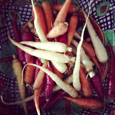 cooking inside a busy life//part 1.