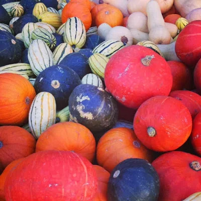 autumn begins (with a recipe).