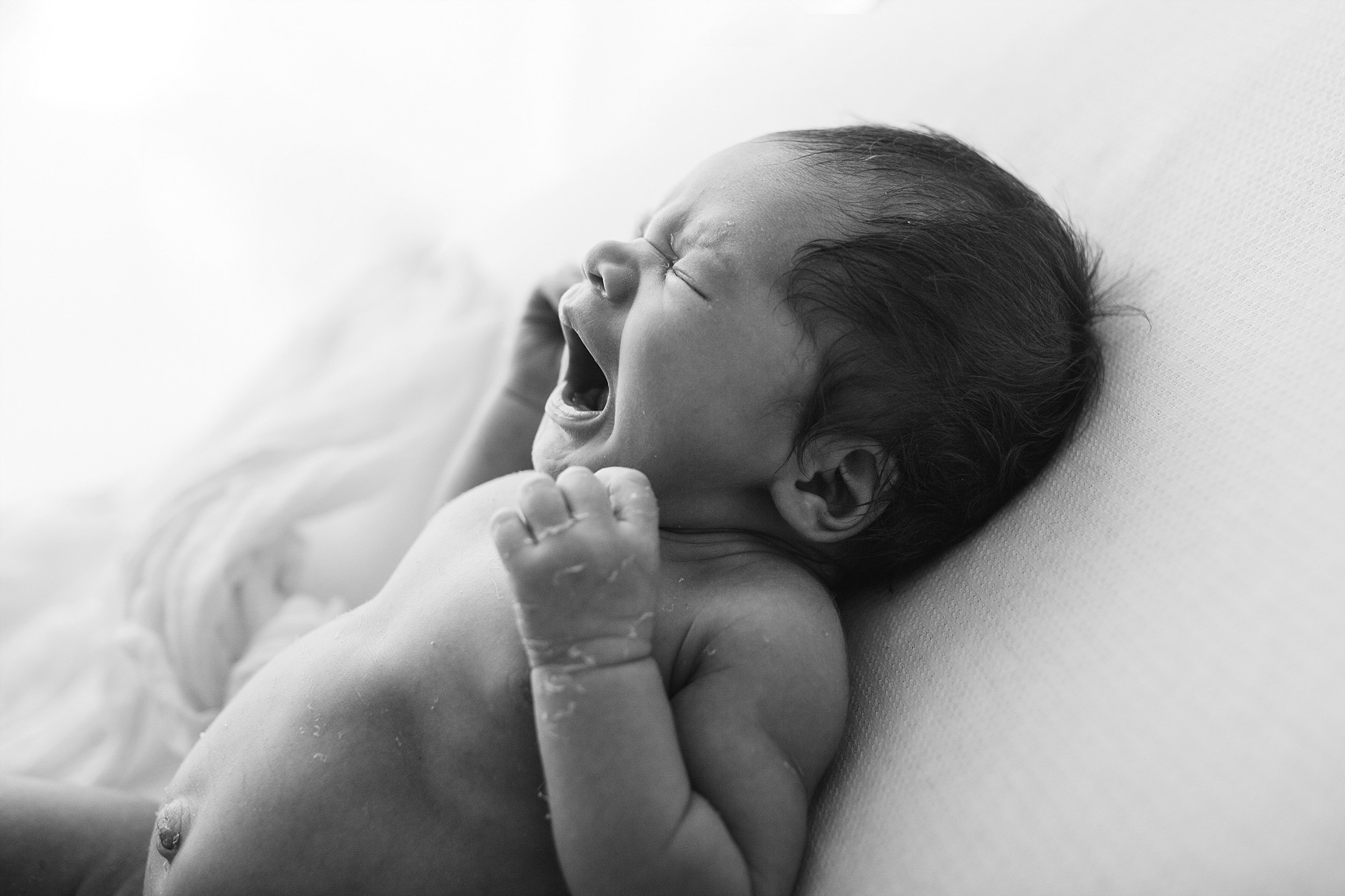 Rotorua New Zealand baby photographer Newborn photography Boy Girl (53).jpg