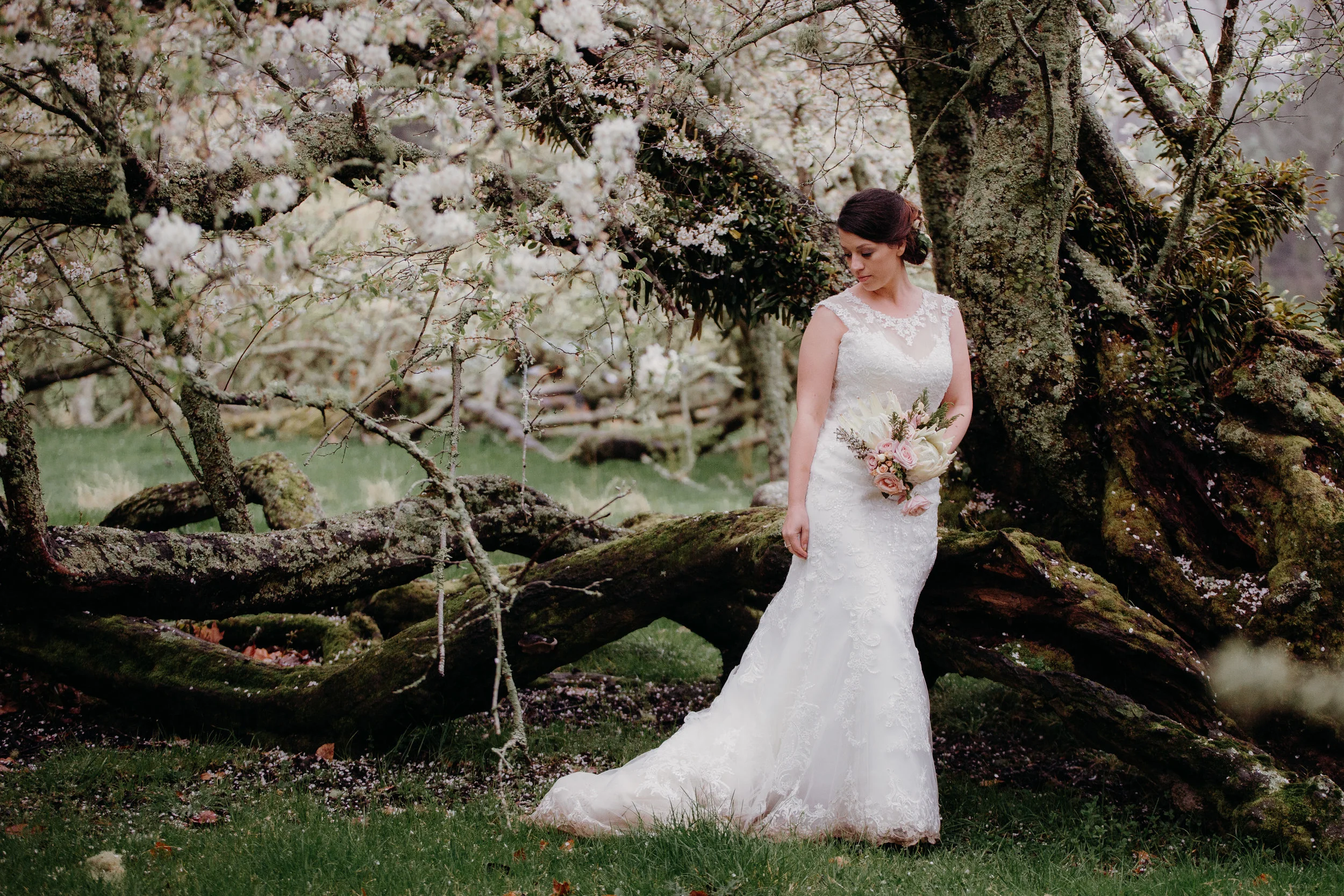 Rotorua wedding photographer12.jpg