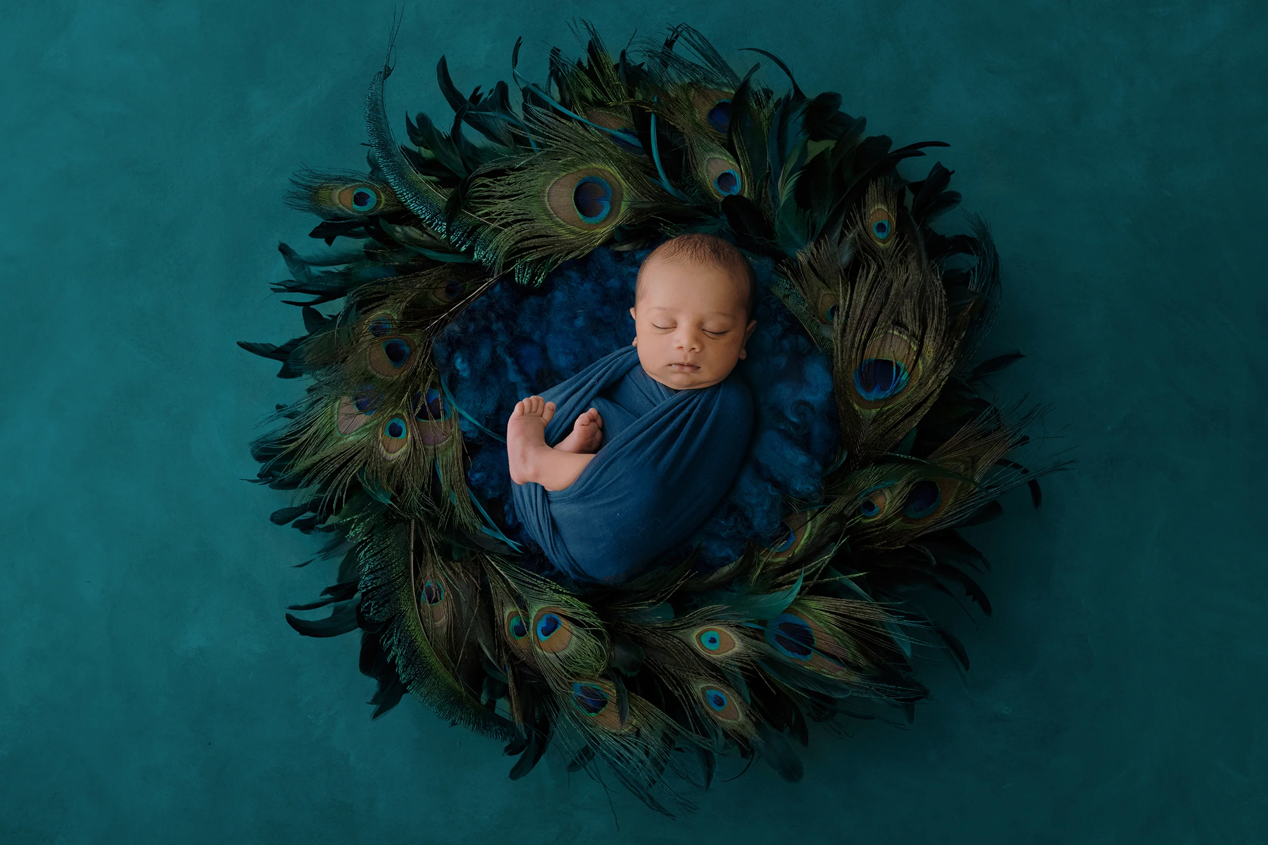 nest large.jpg