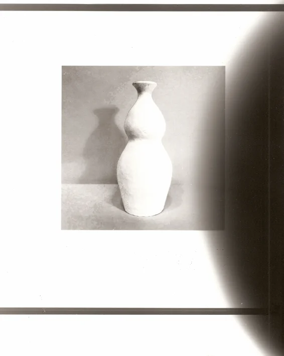 Artifacts from an infamous and Fictitious Situation (24)